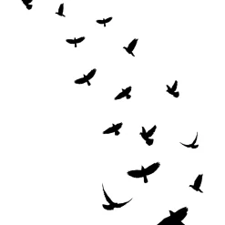 Ambiance Sticker 15 stickers oiseaux anti-collision translucide 85 x 85 cm- Film Occultant Pour Vitrage