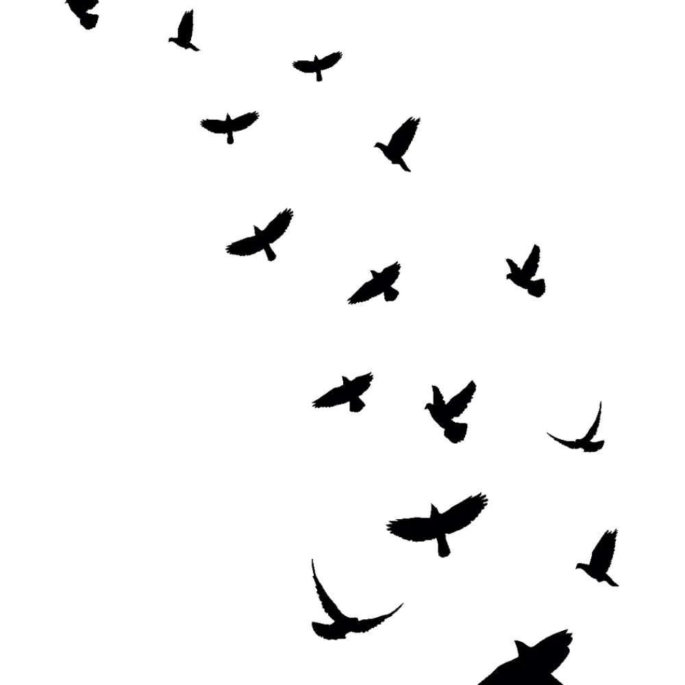 Ambiance Sticker 15 stickers oiseaux anti-collision translucide 95 x 95 cm- Film Occultant Pour Vitrage