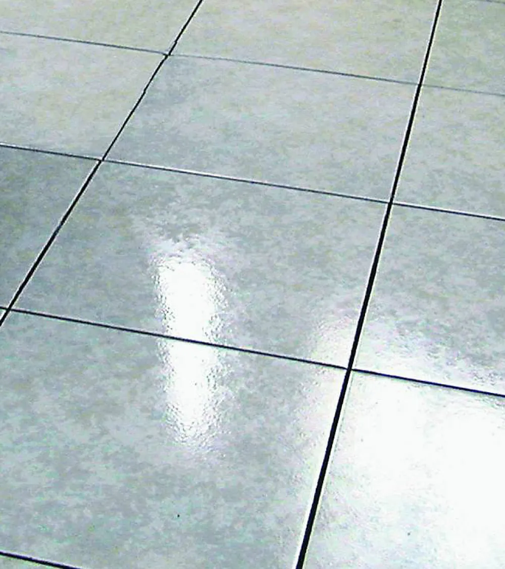 Guard Industrie Antidérapant Invisible Sol Glissant Gliss'Guard Ultra Puissant Spray 750ml- Profilé De Rénovation Pour Sol