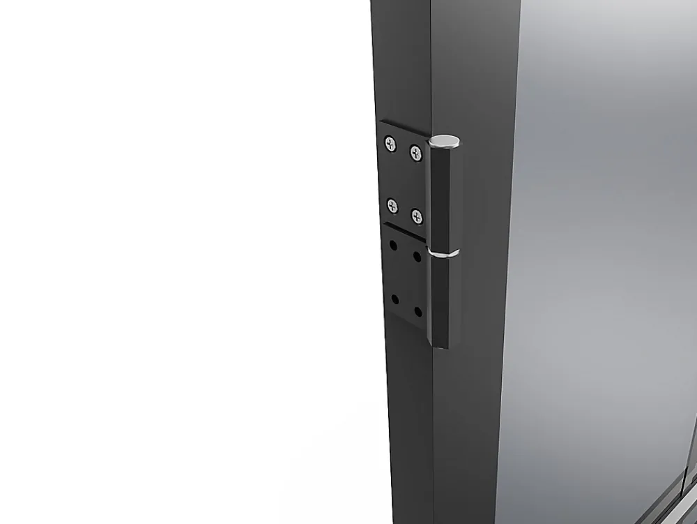 Vente-unique Bloc Porte<Bloc porte réversible en aluminium et verre trempé fumé - H204 x L73 cm - Noir - SEROTO