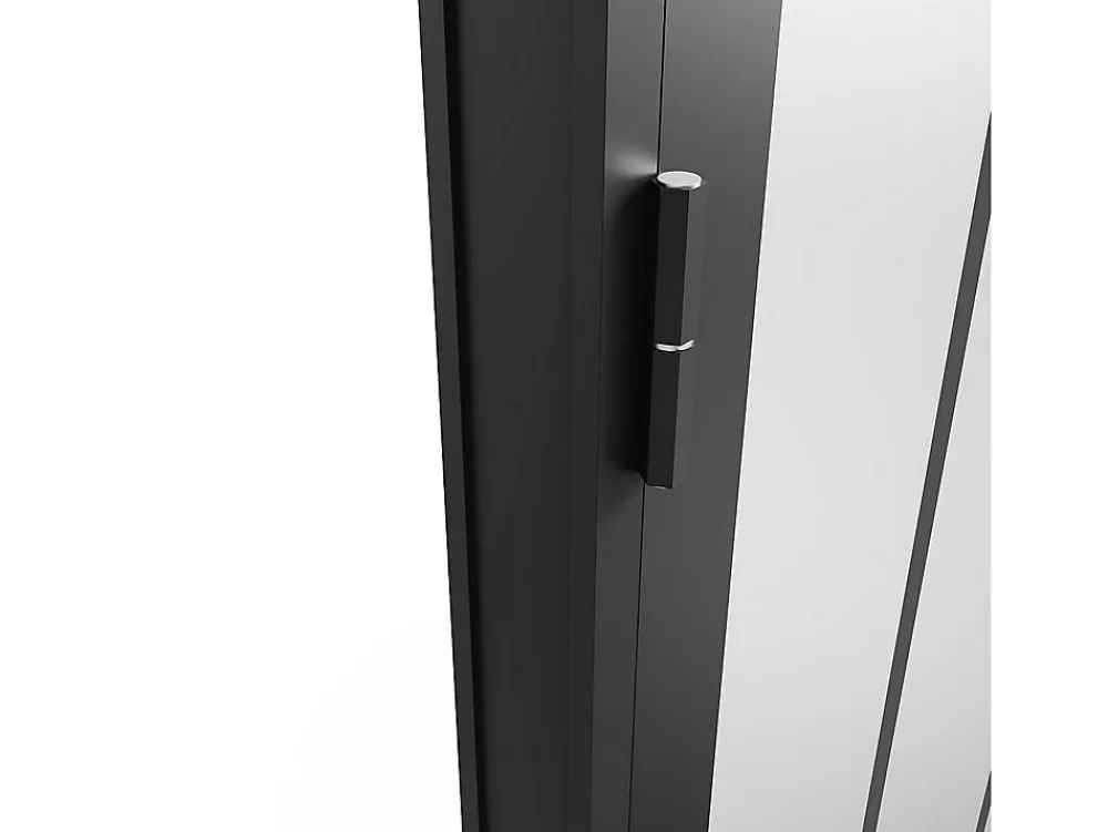 Vente-unique Bloc Porte<Bloc porte réversible en aluminium et verre trempé dépoli style atelier - H204 x L73 cm - Noir - ERMELO