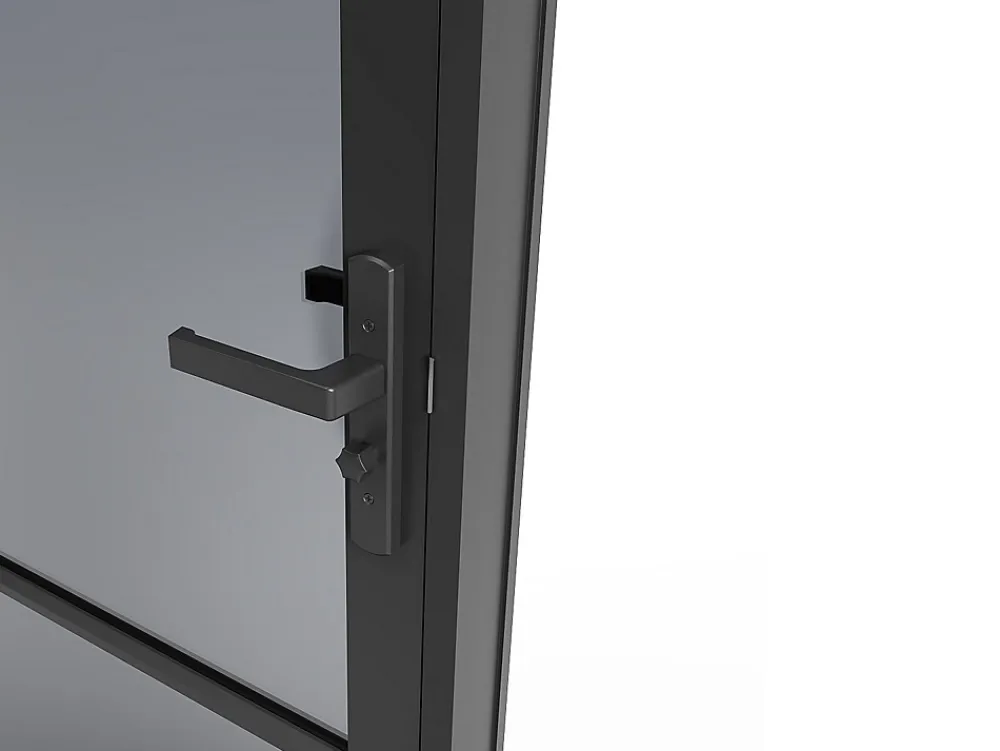 Vente-unique Bloc Porte<Bloc porte réversible en aluminium et verre trempé fumé - H204 x L73 cm - Noir - MASERU