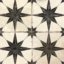 Concept Mosaïque Carrelage Sol Effet Carreaux De Ciment<Carrelage carreaux de ciment FS STAR Black LT 45x45 Etoile noire texturee