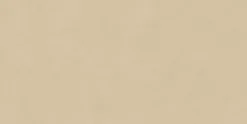 Ro'Ma Carrelage Carrelage Sol Effet Béton<Carrelage effet Béton Beige Doré 120x60x0,9 cm Velours Talvoro - Sol et mur intérieur (vendu par carton de 1,44 m²) - RO'MA CARREL