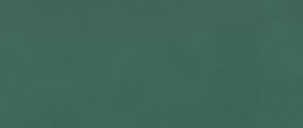 Ro'Ma Carrelage Carrelage Mural Uni<Carrelage effet Enduit Vert Pin 120x50x0,85 cm Mat Calviro - Mur intérieur (vendu par carton de 1,8 m²) -