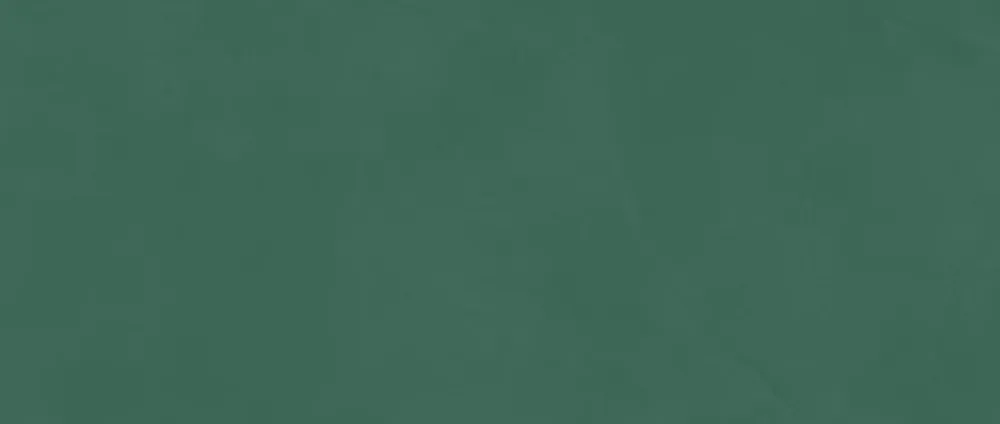 Ro'Ma Carrelage Carrelage Mural Uni<Carrelage effet Enduit Vert Pin 120x50x0,85 cm Mat Calviro - Mur intérieur (vendu par carton de 1,8 m²) -