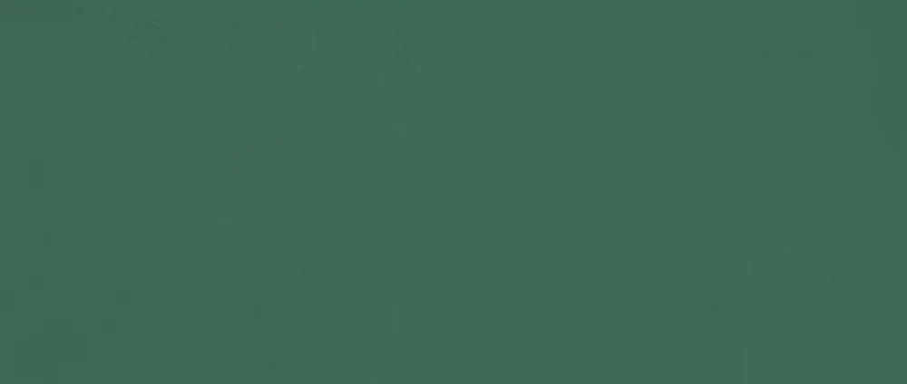 Ro'Ma Carrelage Carrelage Mural Uni<Carrelage effet Enduit Vert Pin 120x50x0,85 cm Mat Calviro - Mur intérieur (vendu par carton de 1,8 m²) -