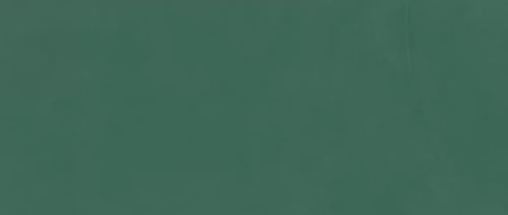 Ro'Ma Carrelage Carrelage Mural Uni<Carrelage effet Enduit Vert Pin 120x50x0,85 cm Mat Calviro - Mur intérieur (vendu par carton de 1,8 m²) -