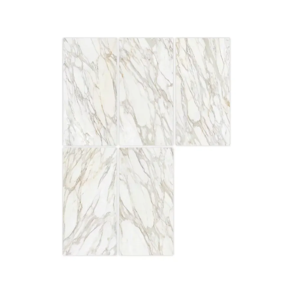 Gioia Materia Carrelage Sol Pour Wc|Carrelage Sol Uni<Carrelage grès cérame effet marbre Borghini poli 120x120 cm Blanc - Brillant / Poli - boîte de 1.42 m2