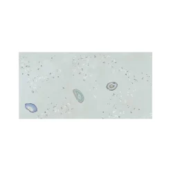 Gioia Materia Carrelage grès cérame effet terrazzo FRAGMENT 100x50cm Décor Vert - Naturel - boîte de 1.49 m2- Carrelage Sol Uni