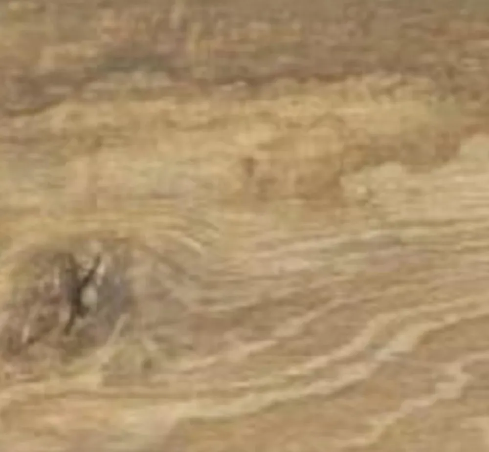 Love Carrelage imitation bois - Série WOODEN - Dimensions: 20 x100 cm - Dark Beige- Carrelage Sol Effet Bois