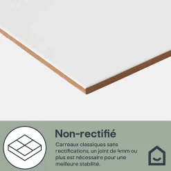 GoodHome Faïence Unie|Faïence Pour Douche<Carrelage mural intérieur blanc mat L.60 x l.30 cm x ép.9 mm, Perouso Crizi