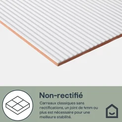 GoodHome Carrelage mural intérieur blanc mat à cannelures fines L.60 x l.30 cm x ép.9 mm, Perouso- Faïence Unie|Faïence Pour Wc