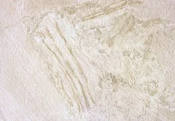 Concept Mosaïque Carrelage Extérieur Et Terrasse<carrelage PERUGIA BEIGE 45x65 cm imitation pierre