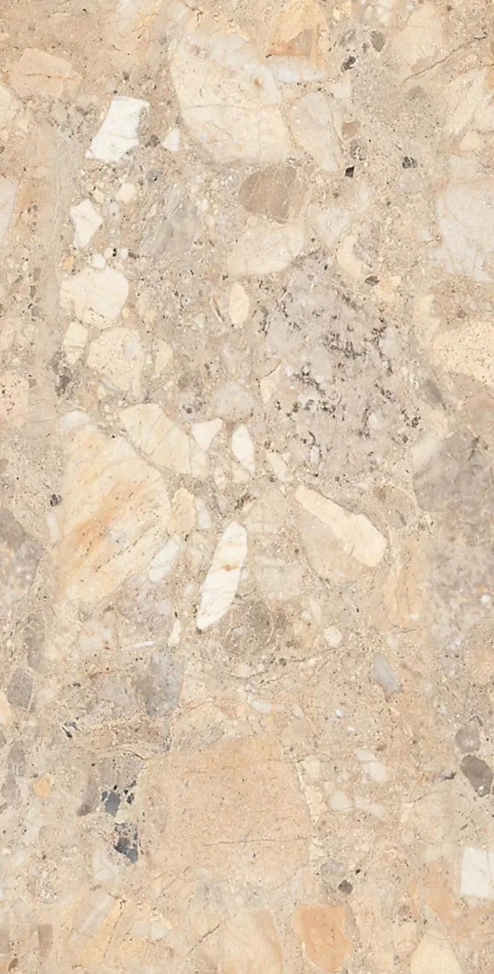 Limcaro Carrelage Sol Pour Cuisine|Carrelage Sol Effet Marbre<Carrelage sol / mur effet marbre beige BRIZEIT BEIGE l.60 x L.120 cm Brillant