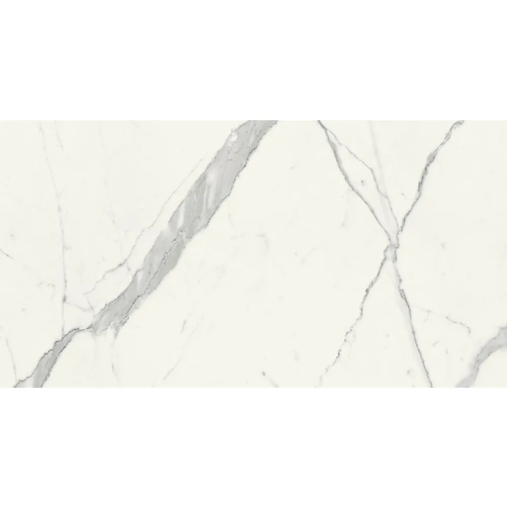 Aelle Carrelage Carrelage Sol Effet Marbre<Carrelage sol / mur effet marbre blanc 60x120 cm - SCULTOREA statuario vena argento J402