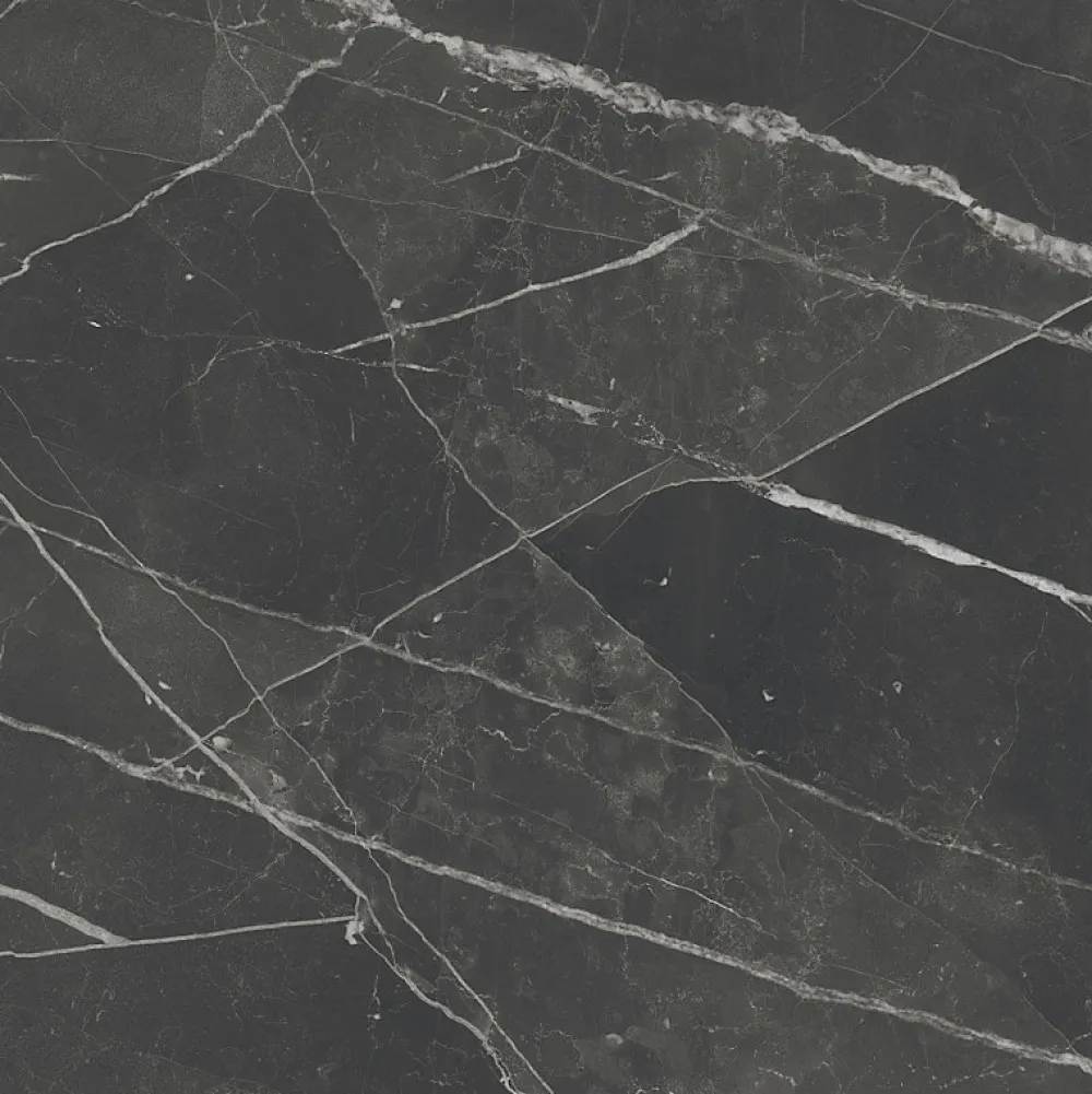 Aelle Carrelage Carrelage Sol Effet Marbre<Carrelage sol / mur effet marbre noir 120X120 cm - SCULTOREA Dark diamond J455
