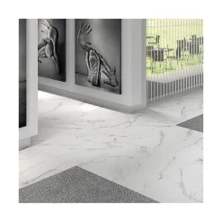 Aelle Carrelage Carrelage Sol Effet Marbre<Carrelage sol / mur effet marbre blanc 60x60 cm DONEY BLANCO