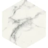 Aelle Carrelage Carrelage sol / mur hexagonal effet marbre blanc mate 25x21,6 cmSCULTOREA statuario vena argento esagona J469- Carrelage Sol Effet Marbre