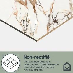 GoodHome Carrelage sol et mur effet marbre blanc et rouge brillant L.60,8 x l.60,8 cm x ép.8,5 mm, Aruma- Carrelage Mural Effet Marbre|Carrelage Mural Pour Salle De Bains