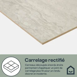 GoodHome Carrelage sol et mur intérieur gris clair effet pierre L.59,5 x l.29,5 cm x ép.8,7 mm, Kyat- Carrelage Mural Effet Pierre|Carrelage Sol Effet Pierre