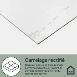 GoodHome Carrelage sol et mur intérieur en grés cérame émaillé effet marbre blanc poli L.60 x l.60 cm x ép.9 mm, Ultimate Marble- Carrelage Mural Effet Marbre|Carrelage Sol Effet Marbre