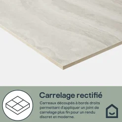 GoodHome Carrelage sol et mur intérieur gris effet pierre L.59,5 x l.120 cm x ép.10 mm, Kyat- Carrelage Mural Effet Pierre|Carrelage Sol Effet Pierre