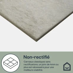 GoodHome Carrelage Mural Pour Wc|Carrelage Mural Pour Salle De Bains<Carrelage sol intérieur beige effet pierre 61,5 x l.30,8 cm x ép.8 mm, Shaded