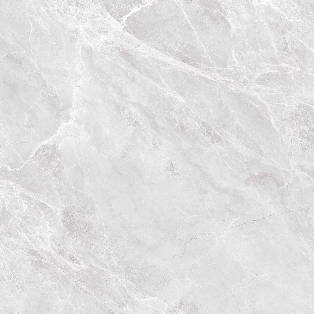 Carrelage Sol Pour Pièce À Vivre|Carrelage Mural Effet Marbre<Carrelage sol intérieur effet marbre gris mat L.100 x l.100 cm x ép.10 mm, New Babylonia