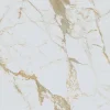 Velloza Carrelage Sol Pour Pièce À Vivre|Carrelage Sol Effet Marbre<Carrelage sol/mur effet marbre brillant VENTURA GOLD L.120 x l.60cm
