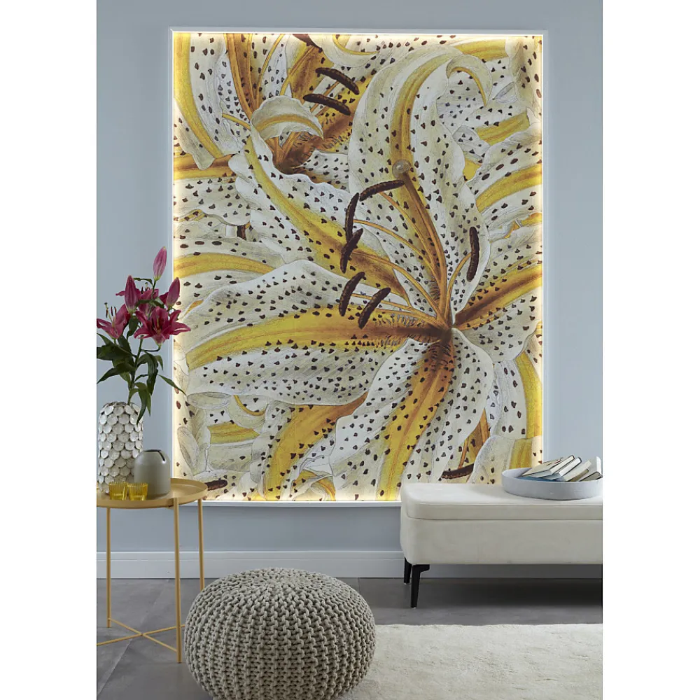 Decoflair CL14 Profilé pour éclairage Polystyrène HD 20 x 25 x 2000 - 1 pièce- Moulure Et Rosace De Plafond