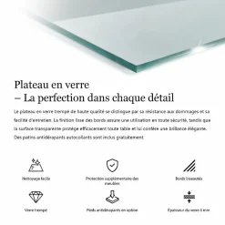 Wallfluent Plateau En Verre<Dessus de table en verre trempé 140x70 cm Transparent