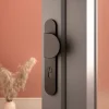 GoodHome Poignée De Porte Extérieure<Ensemble poignée sur plaque rond Govlin noir l.x l.40mm entraxe 195mm