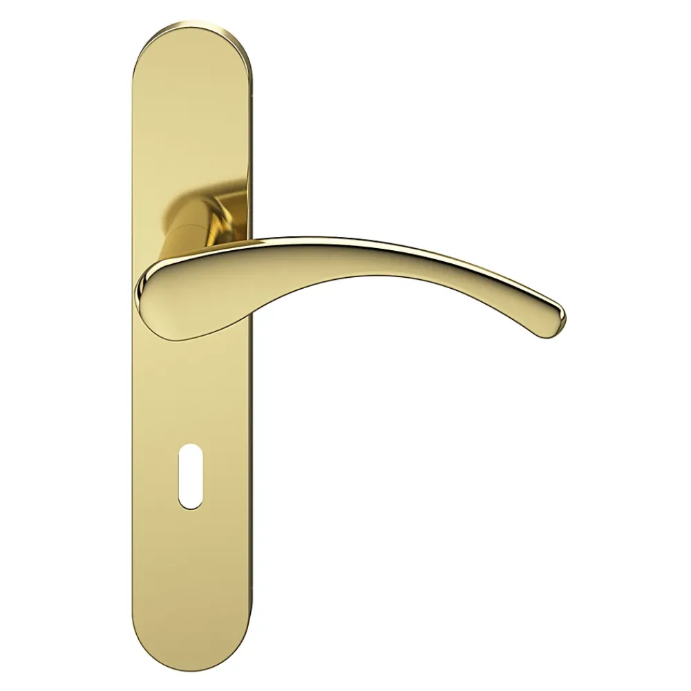 GoodHome Ensemble poignée sur plaque rond serrure Ruis effet laiton doré L.138.5mm x l.42mm entraxe 165-195mm- Poignée De Porte