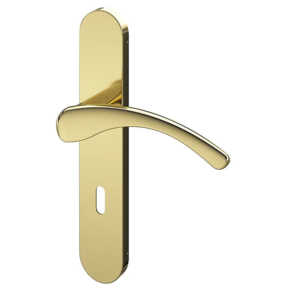 GoodHome Ensemble poignée sur plaque rond serrure Ruis effet laiton doré L.138.5mm x l.42mm entraxe 165-195mm- Poignée De Porte