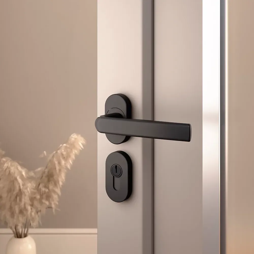 GoodHome Poignée De Porte Extérieure<Ensemble poignée sur rosace Sel scroll à visser Primel mat gris anthracite
