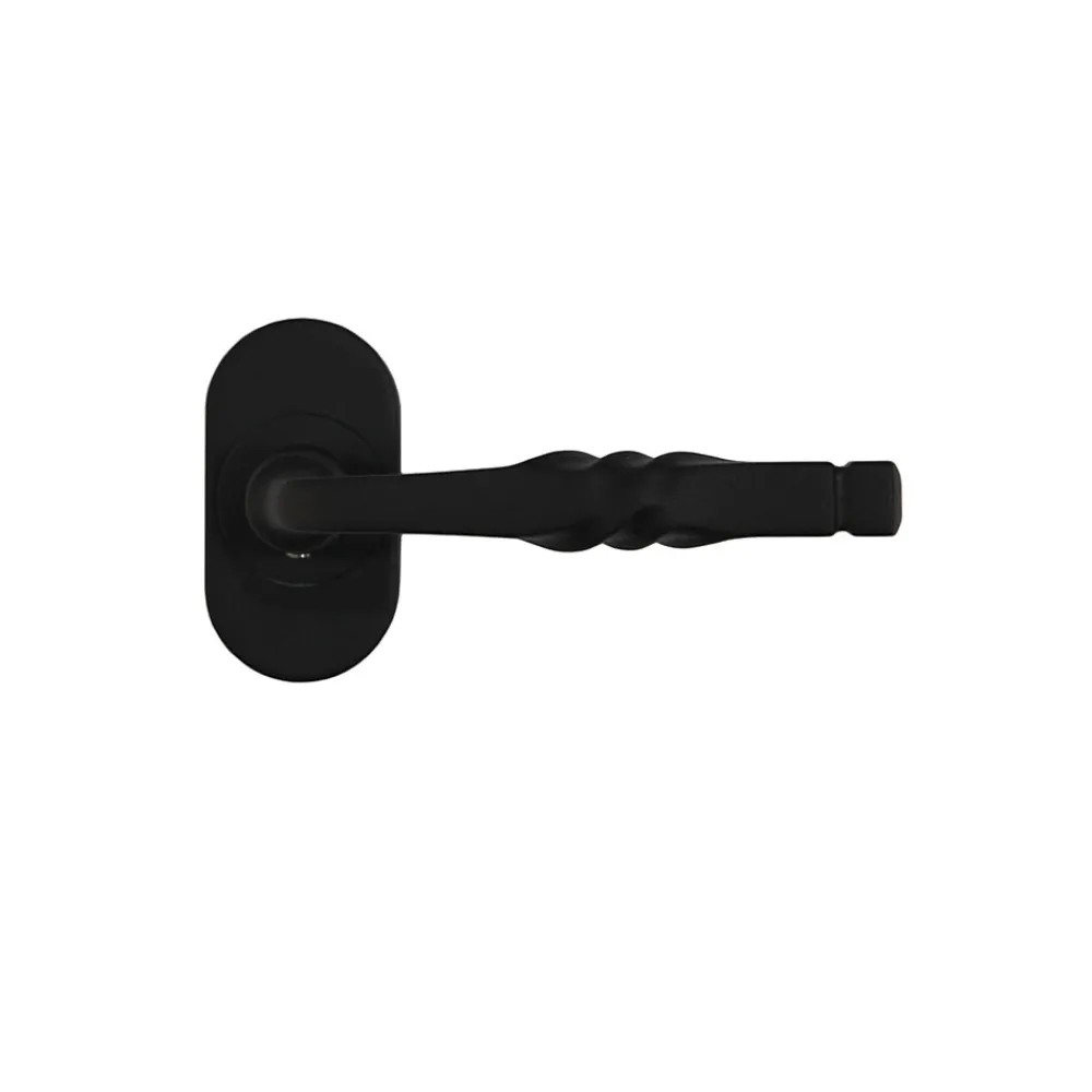 Ensemble poignée sur rosace à visser Bovel noir Ø63mm- Poignée De Porte Extérieure