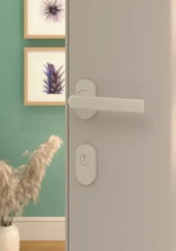 GoodHome Ensemble poignée sur rosace Incurvé à visser Primel mat blanc- Poignée De Porte Extérieure