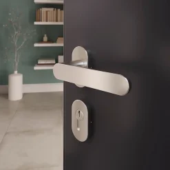 GoodHome Ensemble poignée sur rosace à visser Minzh effet nickel satin gris Ø63mm- Poignée De Porte Extérieure