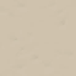 Vives Faïence Unie<Faïence Berta Beige 20 x 20cm ( vendu par boite de 1 m² )