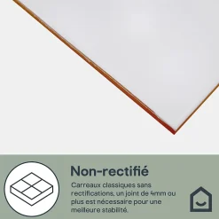GoodHome Faïence murale blanc mat L.40 x l.25 cm x ép.8,3 mm, Alexandrina- Carrelage Mural Pour Douche|Carrelage Mural Pour Cuisine