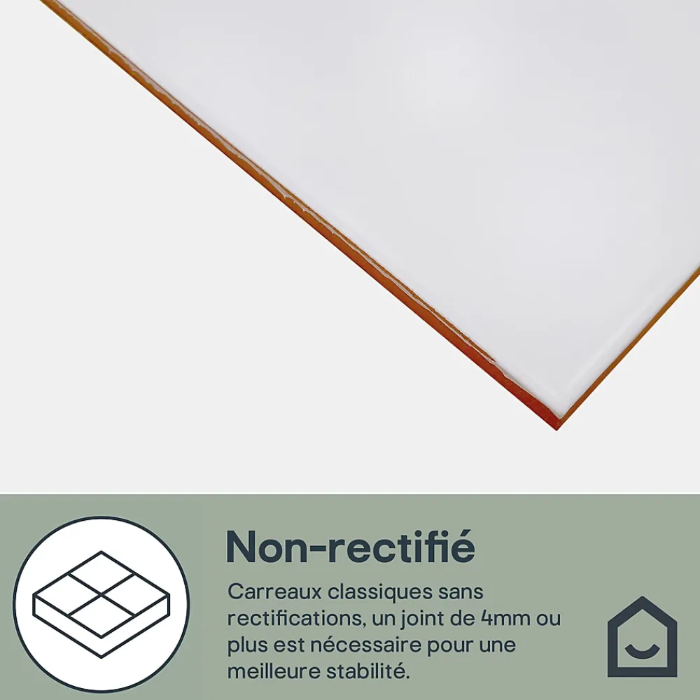 GoodHome Faïence murale blanc mat L.40 x l.25 cm x ép.8,3 mm, Alexandrina- Carrelage Mural Pour Douche|Carrelage Mural Pour Cuisine
