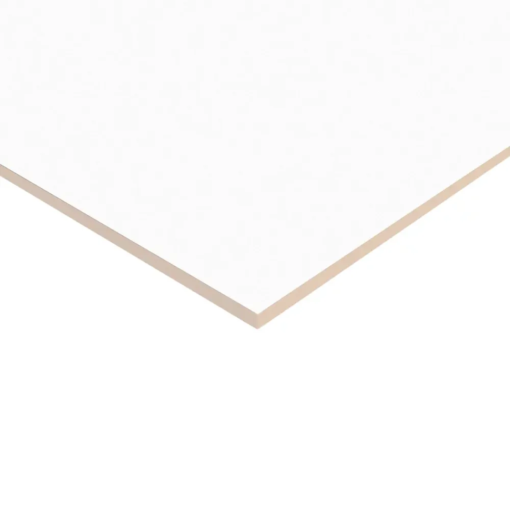GoodHome Faïence Unie|Faïence Pour Douche<Faïence murale blanc mat L.90 x l.30 cm x ép.8,7 mm, Aragone
