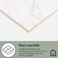 GoodHome Carrelage Mural Pour Douche|Carrelage Mural Pour Wc<Faïence murale effet marbre blanc L.60 x l.20 cm x ép.9,4 mm, Aruma
