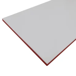 GoodHome Faïence Unie|Faïence Pour Douche<Faïence murale gris clair satiné L.60 x l.20 cm x ép.8,3 mm, Plain