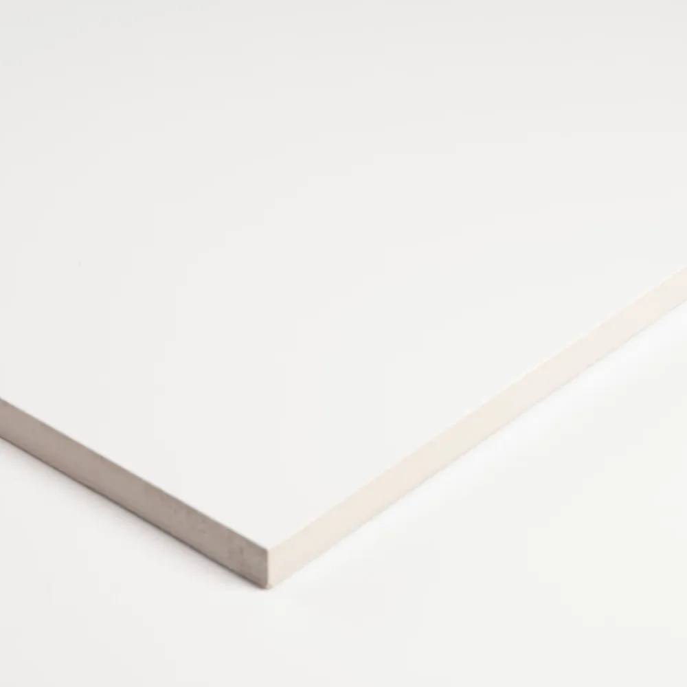 Faïence murale intérieur blanc mat L.120 x l.40 cm x ép.10,1 mm, Aspen- Faïence Pour Wc|Carrelage Mural Pour Douche