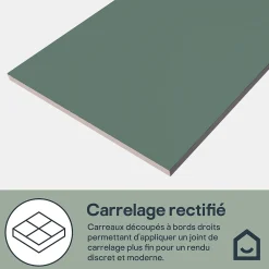 GoodHome Faïence murale intérieur vert satiné L.60 x l.30 cm x ép.7 mm, Colville- Carrelage Mural Pour Douche|Carrelage Mural Pour Cuisine