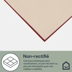 GoodHome Faïence Unie|Faïence Pour Douche<Faience murale sable satiné L.60 x l.20 cm x ép.8,3 mm, Plain