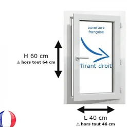 Gefradis Fenêtre Pvc<Fenêtre PVC 1 vantail H 60 x L 40 cm OF pour pose en neuf avec poignée - tirant droit