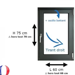 Gefradis Fenêtre PVC 1 vantail H 75 x L 60 cm OB anthracite pour pose en neuf - tirant droit- Fenêtre Pvc
